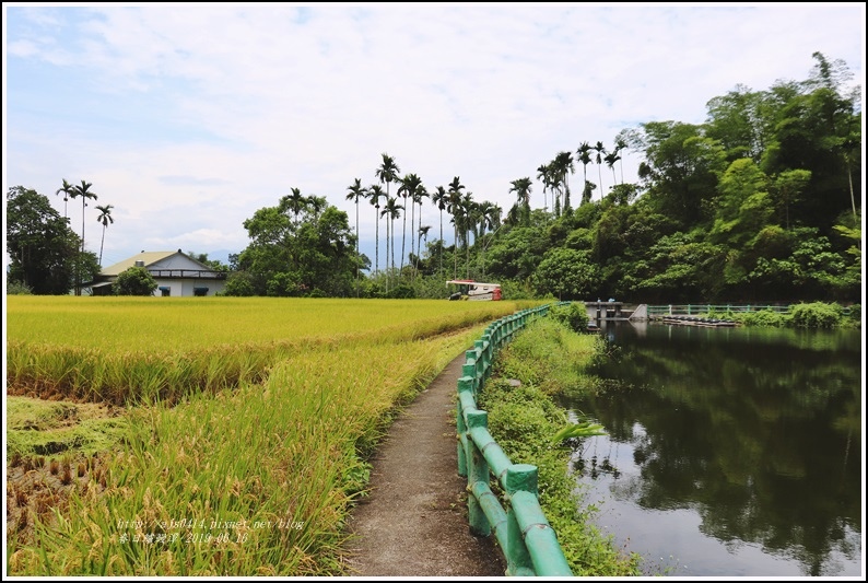春日鱸鰻潭-2019-06-19.jpg 春日鱸鰻潭-2019-06-19.jpg