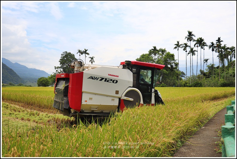 春日鱸鰻潭-2019-06-22.jpg 春日鱸鰻潭-2019-06-22.jpg