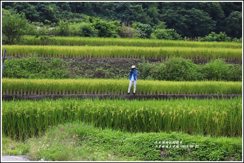 玉里松埔天堂路-2019-06-25.jpg