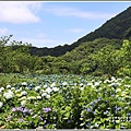 大梯田花卉生態農園-2019-05-01.jpg