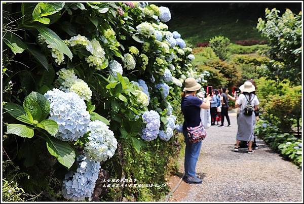 大梯田花卉生態農園-2019-05-031.jpg