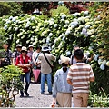 大梯田花卉生態農園-2019-05-037.jpg