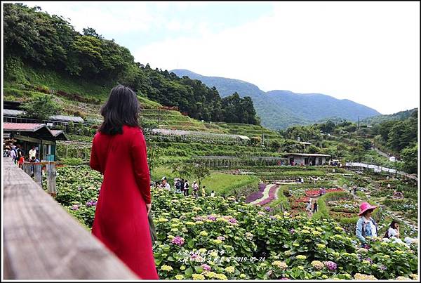 大梯田花卉生態農園-2019-05-041.jpg