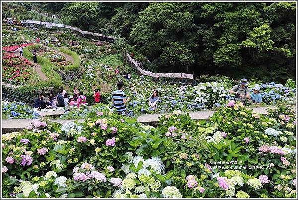 大梯田花卉生態農園-2019-05-042.jpg