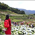 大梯田花卉生態農園-2019-05-043.jpg