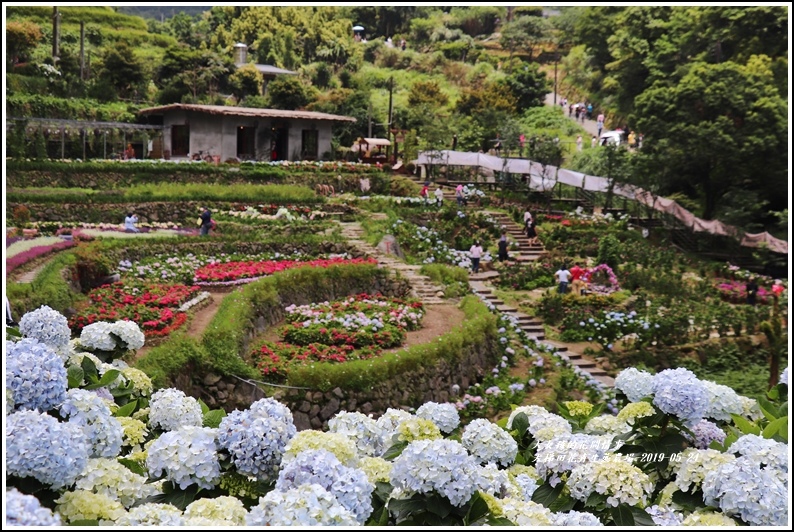 大梯田花卉生態農園-2019-05-047.jpg