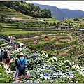 大梯田花卉生態農園-2019-05-048.jpg