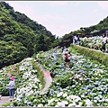 大梯田花卉生態農園-2019-05-049.jpg