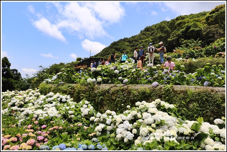 大梯田花卉生態農園-2019-05-051.jpg