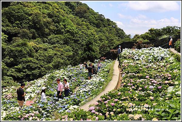 大梯田花卉生態農園-2019-05-061.jpg