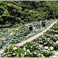 大梯田花卉生態農園-2019-05-063.jpg