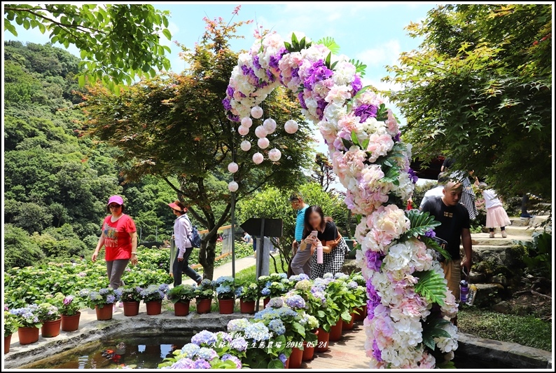 大梯田花卉生態農園-2019-05-064.jpg