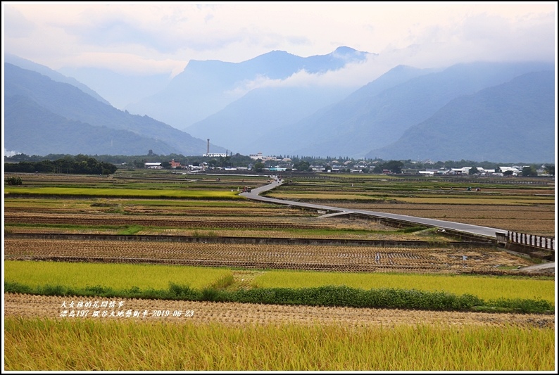 漂鳥197-縱谷大地藝術季-2019-06-18.jpg