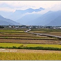 漂鳥197-縱谷大地藝術季-2019-06-18.jpg