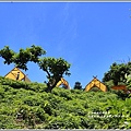 山度空間(花蓮鹽寮)-2019-06-09.jpg