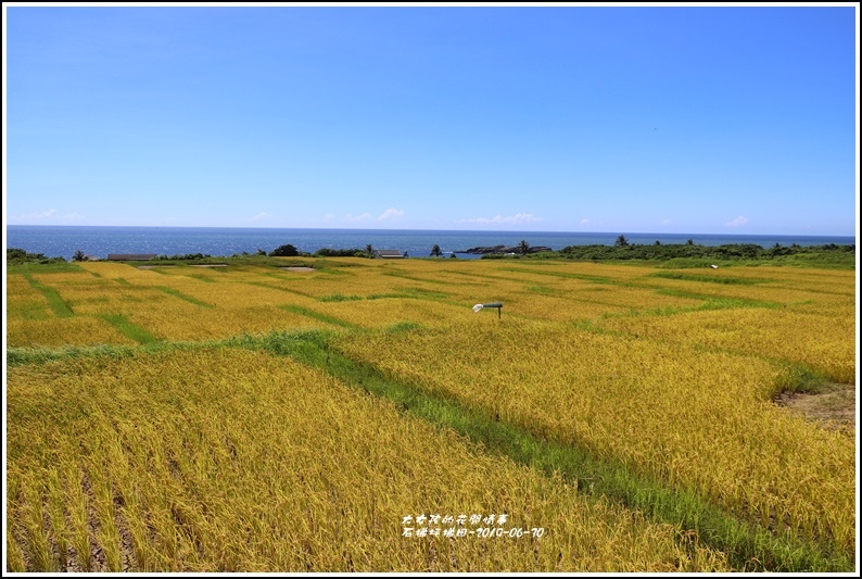 石梯坪梯田-2019-06-03.jpg