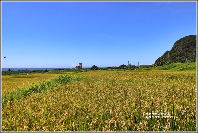 石梯坪梯田-2019-06-06.jpg