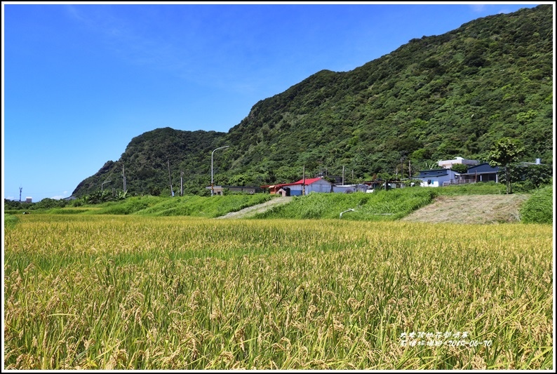 石梯坪梯田-2019-06-05.jpg