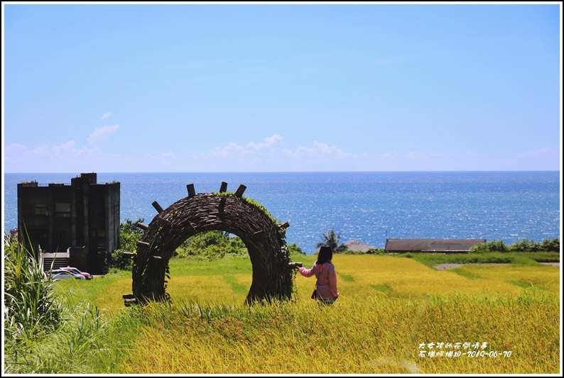 石梯坪梯田-2019-06-10.jpg