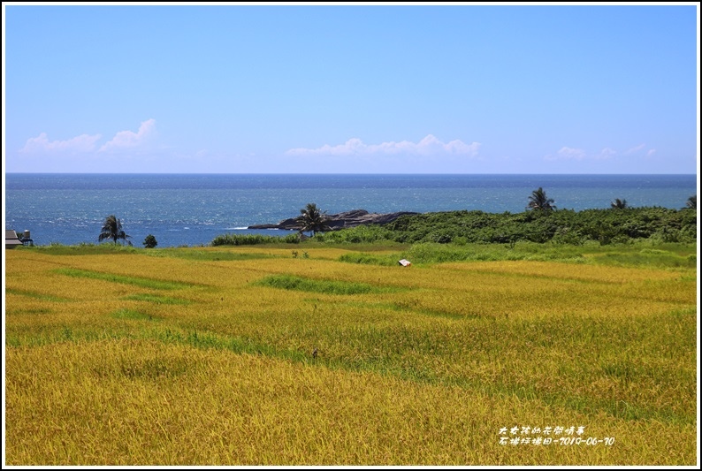 石梯坪梯田-2019-06-15.jpg