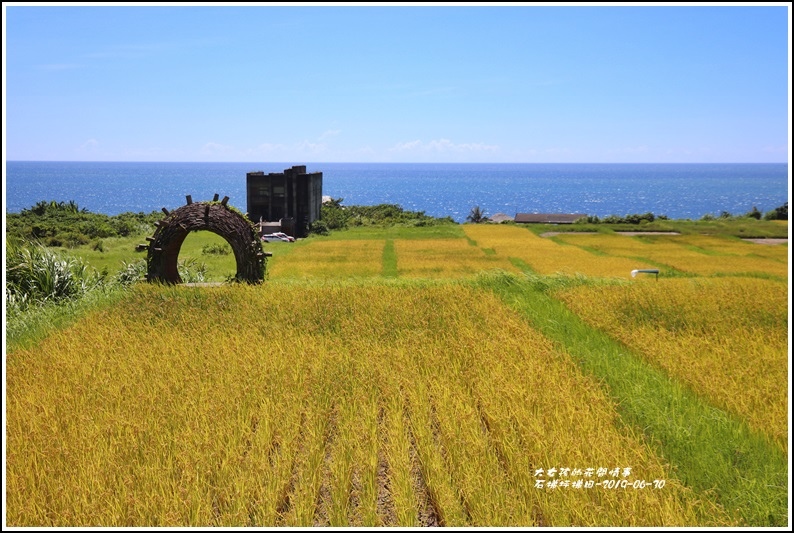 石梯坪梯田-2019-06-14.jpg