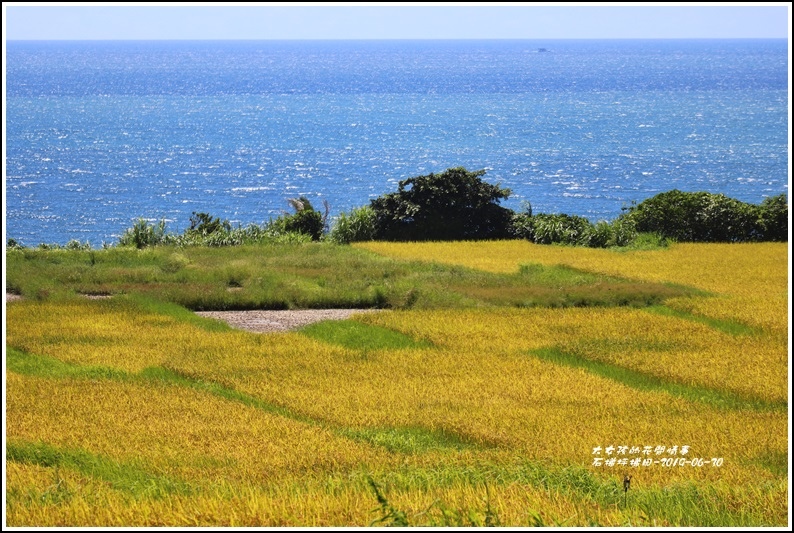 石梯坪梯田-2019-06-18.jpg