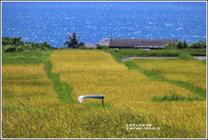 石梯坪梯田-2019-06-20.jpg