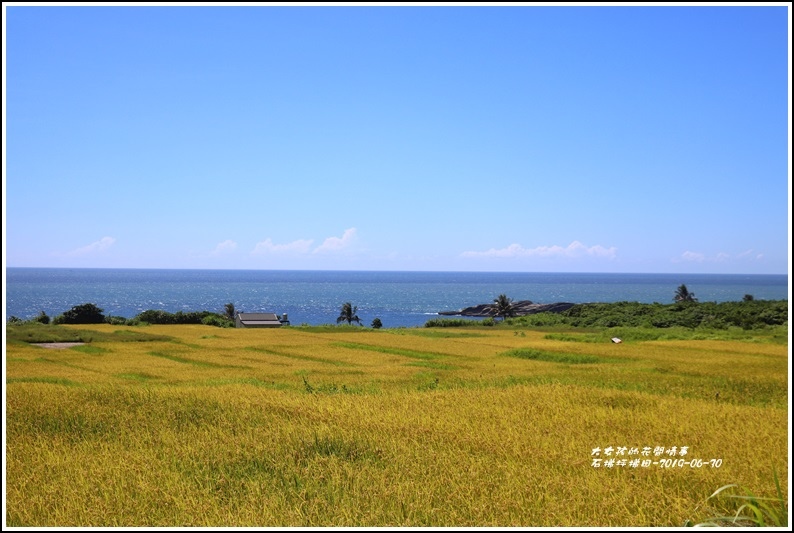 石梯坪梯田-2019-06-21.jpg