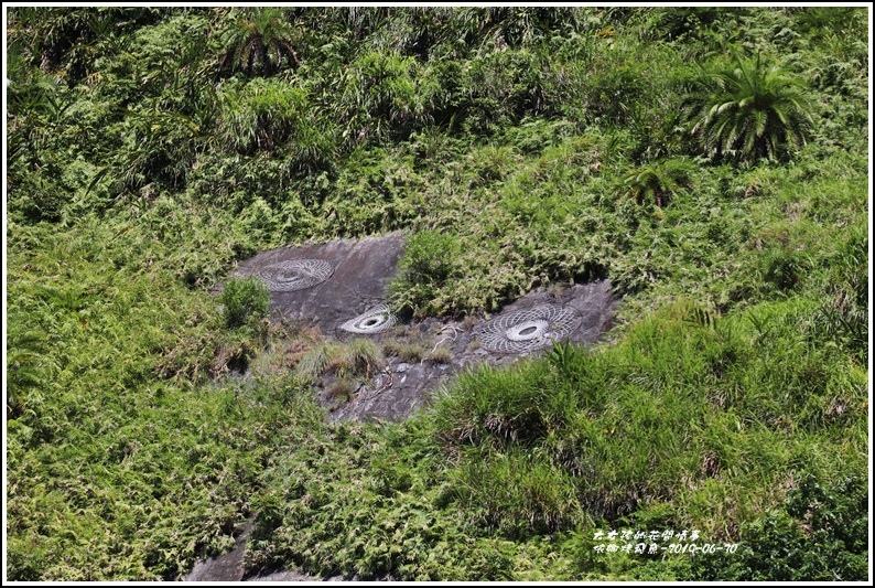 依娜烤飛魚-2019-06-09.jpg