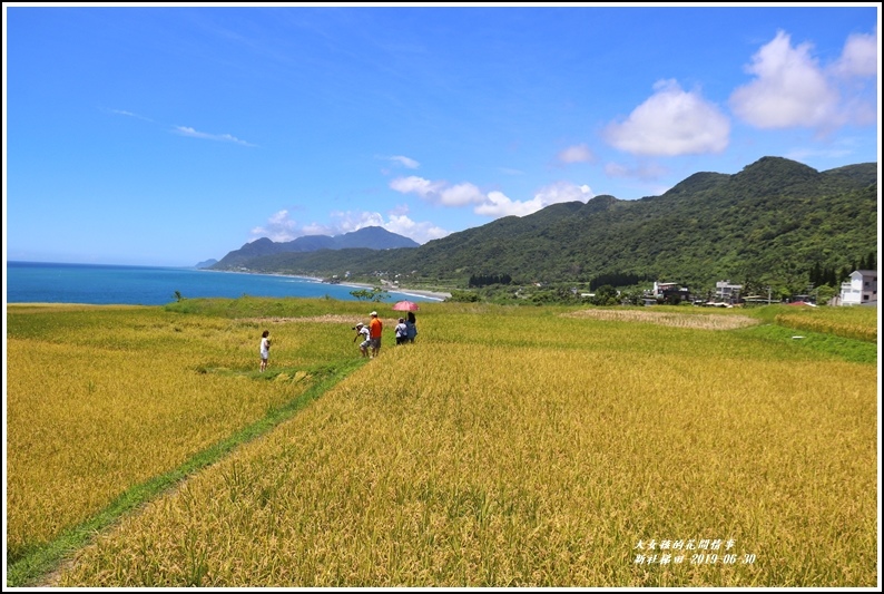 新社梯田-2019-06-01.jpg