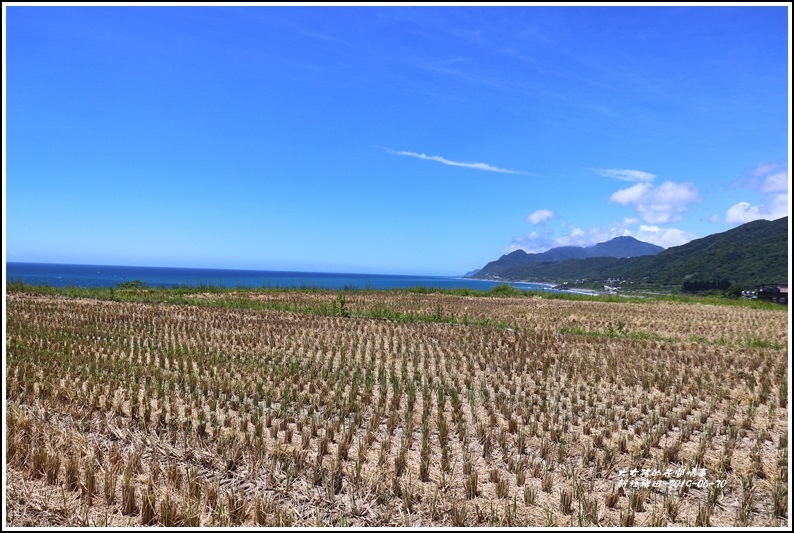 新社梯田-2019-06-03.jpg