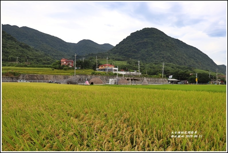 新社梯田-2019-06-37.jpg