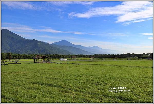 大農大富平地森林-2019-06-06.jpg