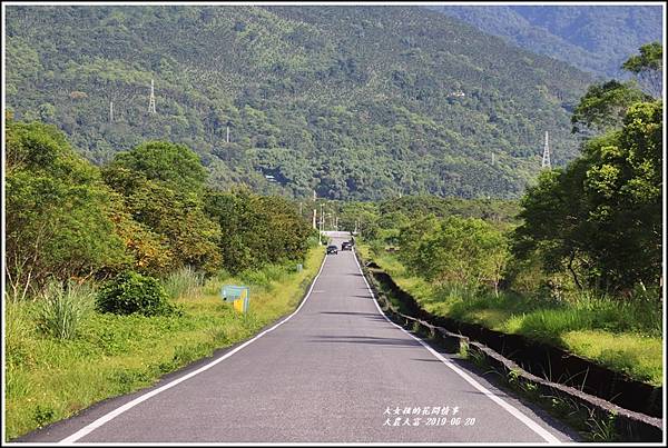 大農大富平地森林-2019-06-11.jpg