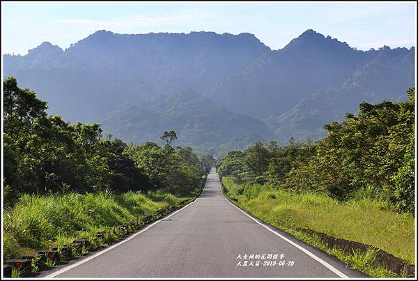 大農大富平地森林-2019-06-13.jpg