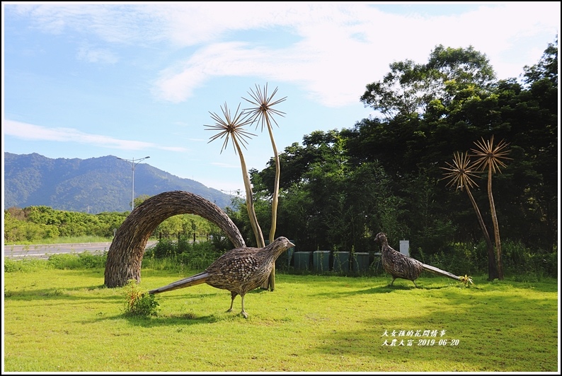 大農大富平地森林-2019-06-15.jpg