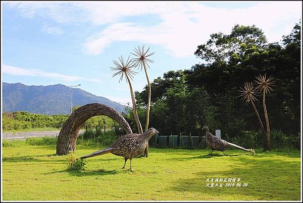 大農大富平地森林-2019-06-15.jpg