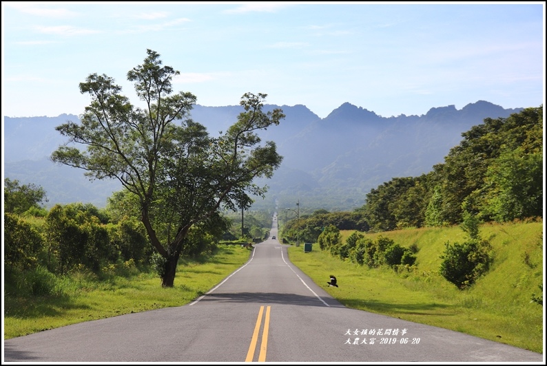 大農大富平地森林-2019-06-16.jpg