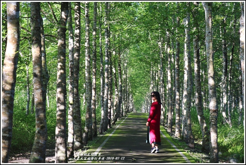 花蓮景點,大農大富平地森林,自行車道,綠光森林,沙灘