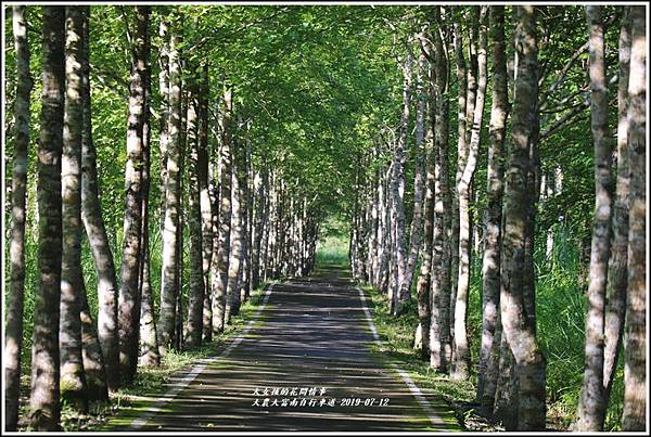 大農大富南自行車道-2019-07-14.jpg