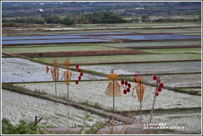 漂鳥197-縱谷大地藝術季-2019-06-77.jpg