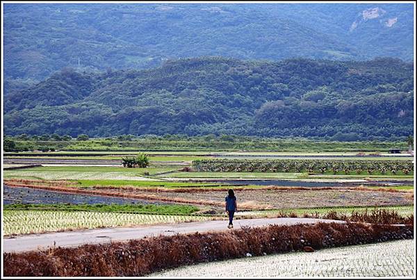 193青農禾音樂埕(松浦天堂路)-2019-07-18.jpg