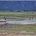 193青農禾音樂埕(松浦天堂路)-2019-07-25.jpg