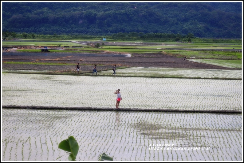 193青農禾音樂埕(松浦天堂路)-2019-07-28.jpg