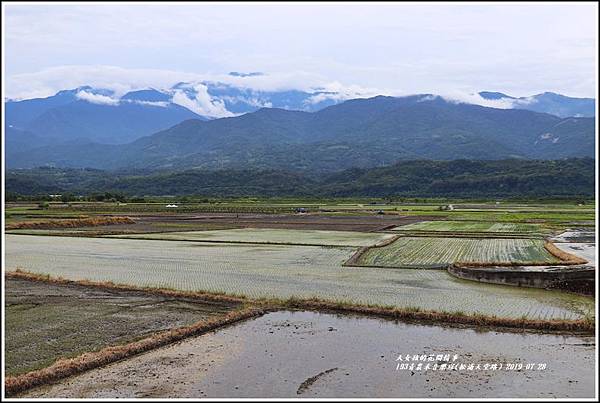 193青農禾音樂埕(松浦天堂路)-2019-07-40.jpg