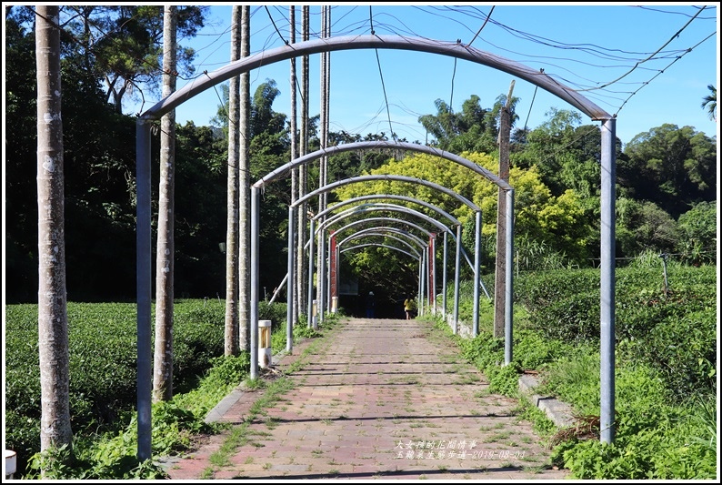 玉龍泉生態步道-2019-08-02.jpg