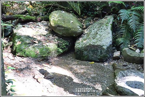 玉龍泉生態步道-2019-08-09.jpg