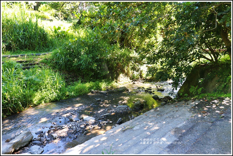 玉龍泉生態步道-2019-08-20.jpg