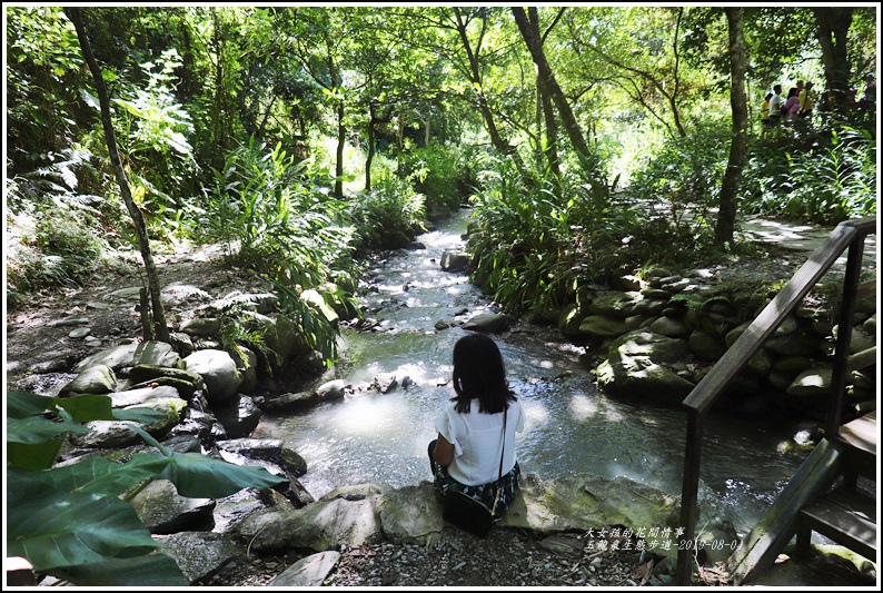玉龍泉生態步道,玉龍泉湧泉區,聖安宮階梯步道,玉龍泉溪畔步道,親子戲水區,高台林蔭階梯步道,鹿野高台,台東景點,健行,自然生態,聖安宮,濕地,獨木橋,戲水