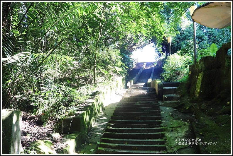 玉龍泉生態步道-2019-08-37.jpg